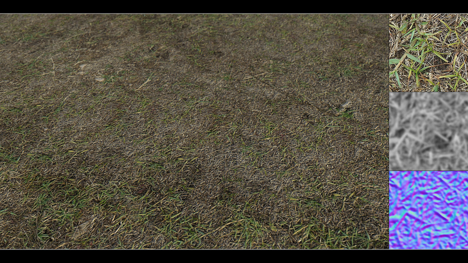 Panoramic Texture Resource: Grass Base by N/A