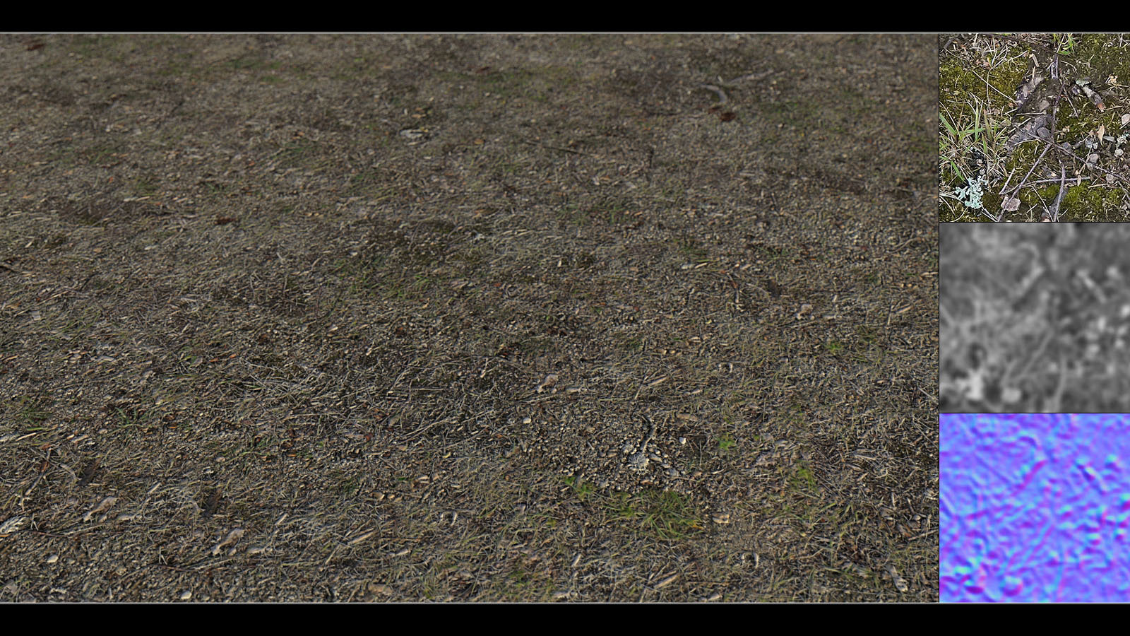 Panoramic Texture Resource: Grass Base by N/A