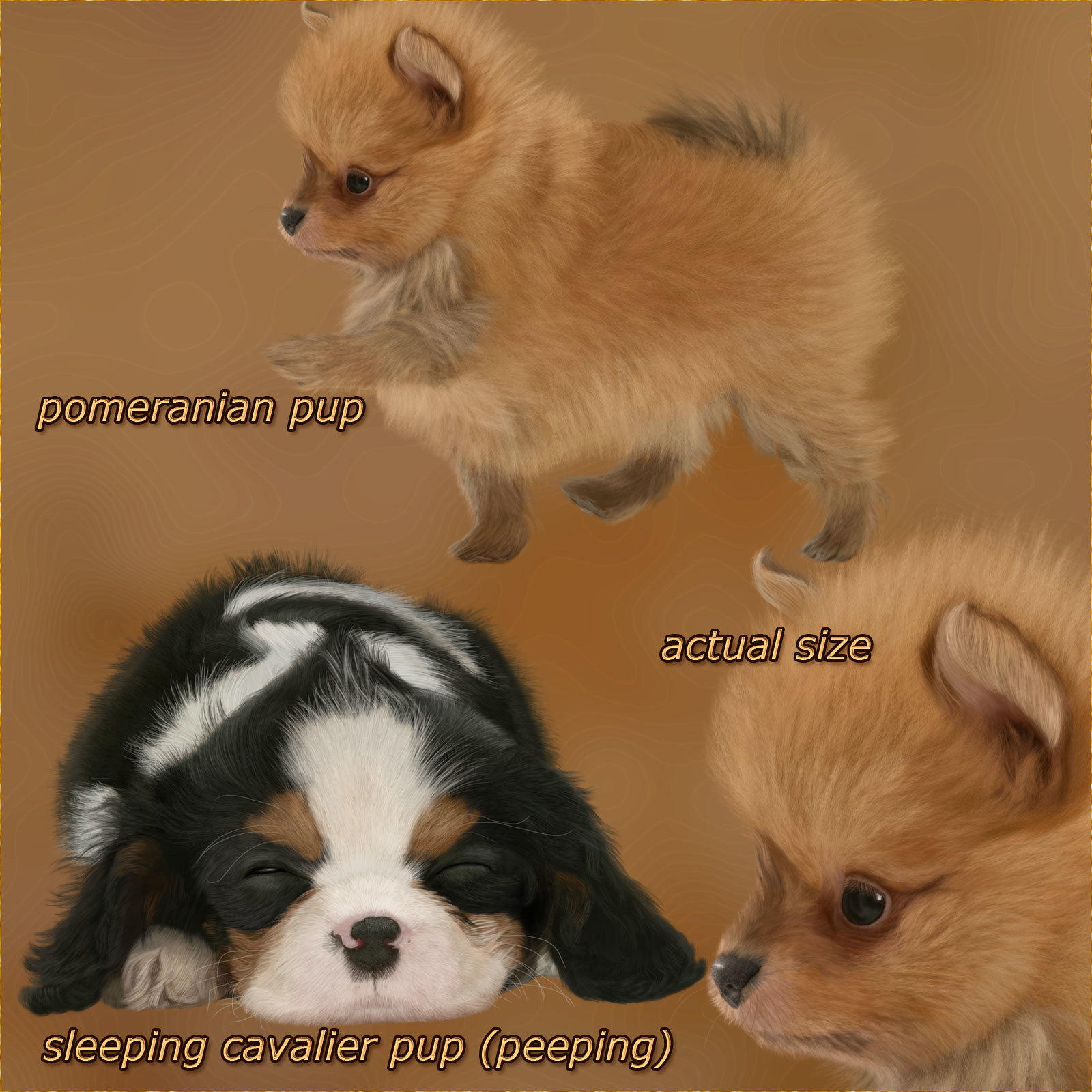 JaneEden's Precious Creatures by N/A