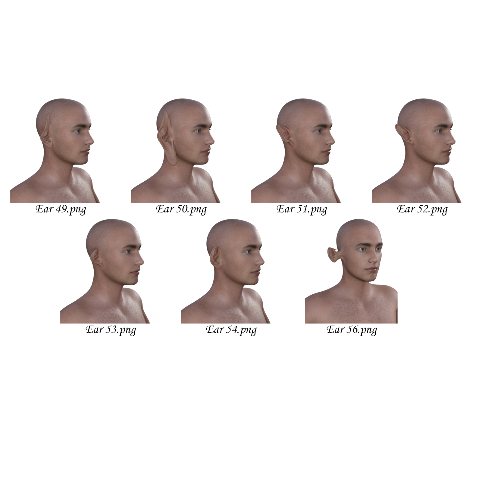 Ears Morphs for G8M by N/A