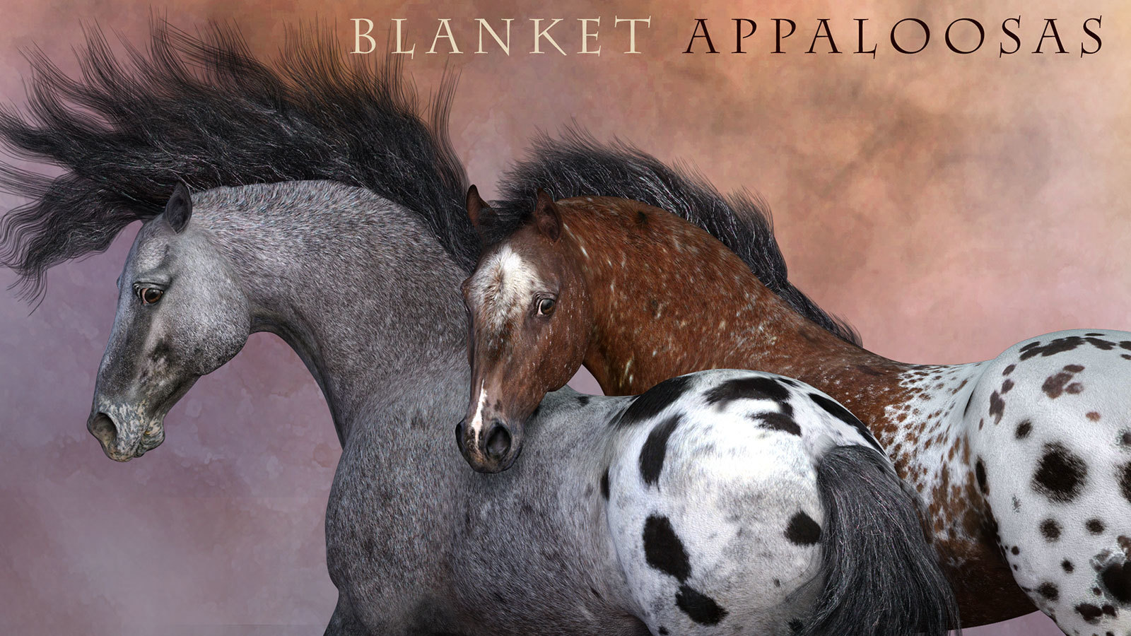 CWRW Blanket Appaloosas for the HiveWire Horse by N/A