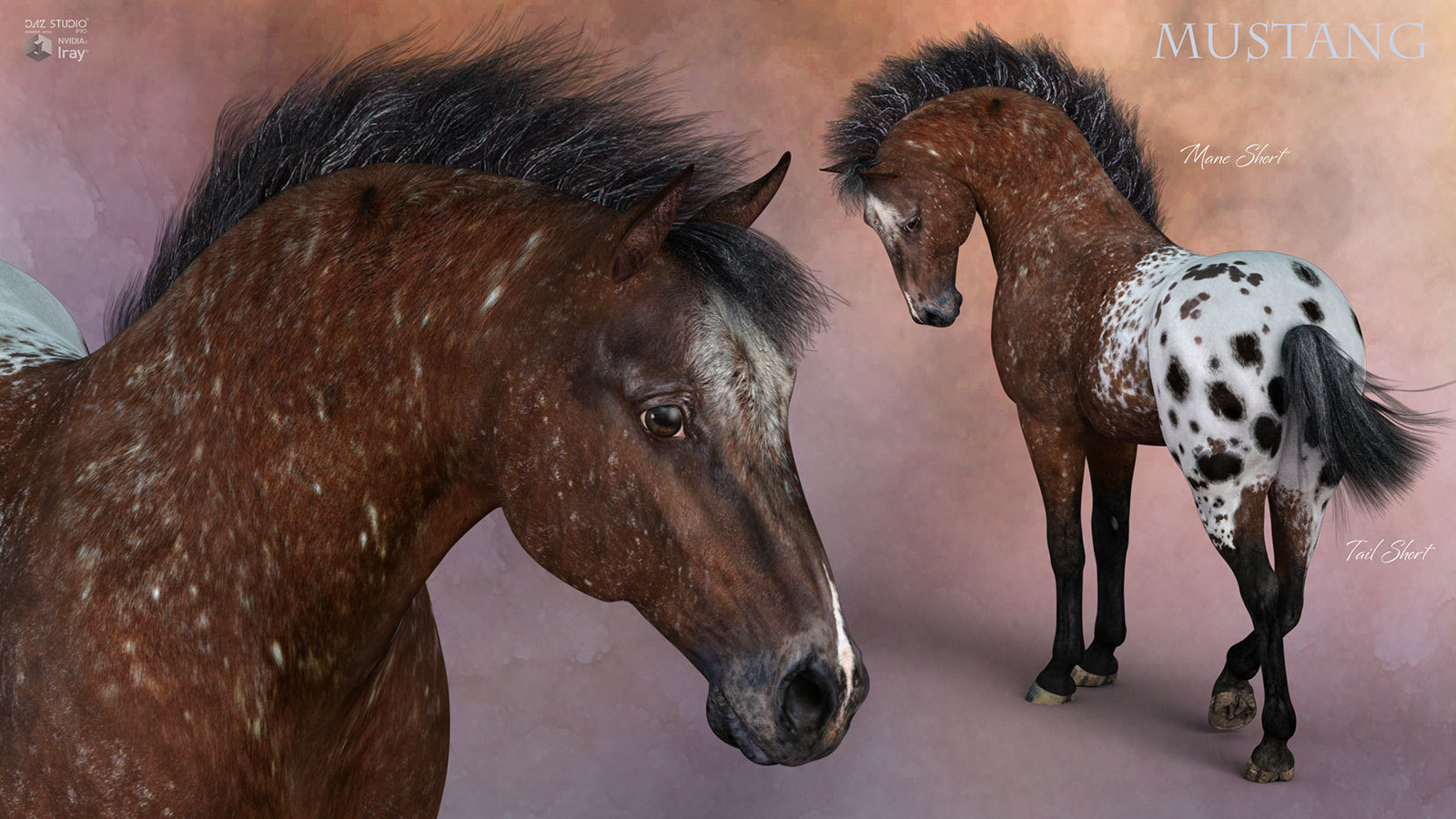 CWRW Blanket Appaloosas for the HiveWire Horse by N/A