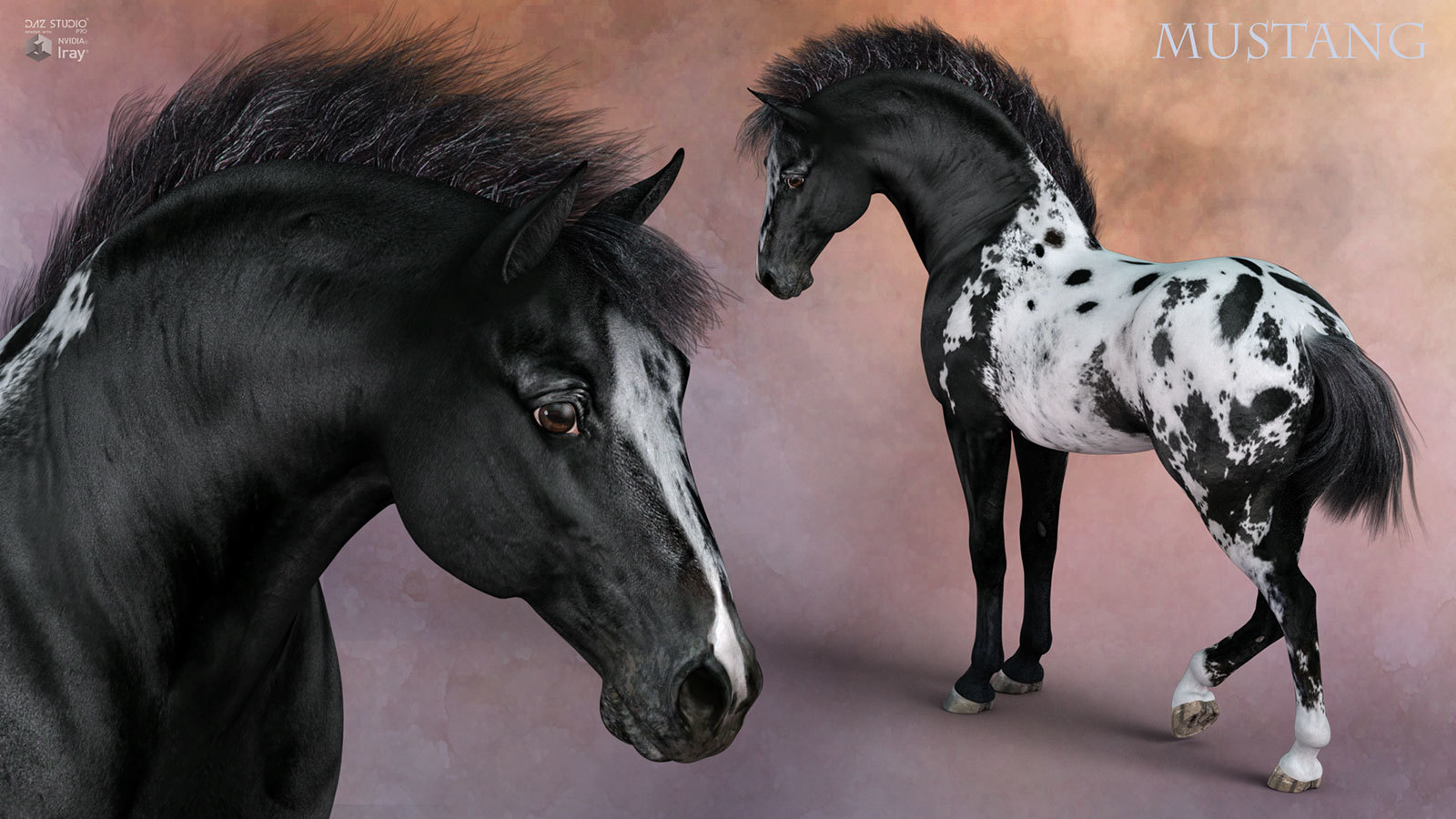 CWRW Blanket Appaloosas for the HiveWire Horse by N/A