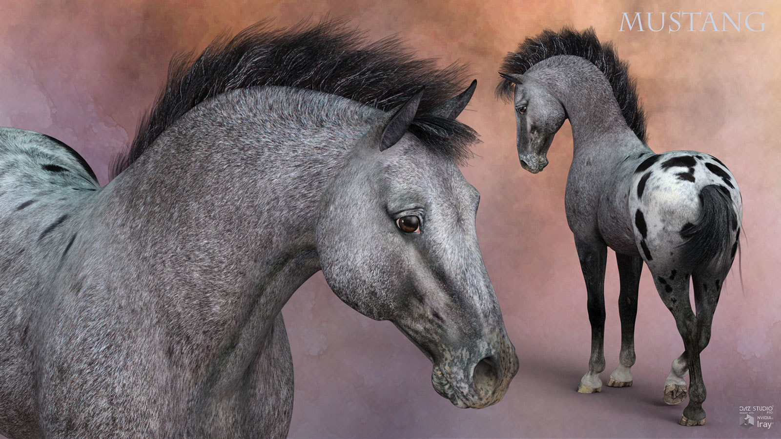 CWRW Blanket Appaloosas for the HiveWire Horse by N/A