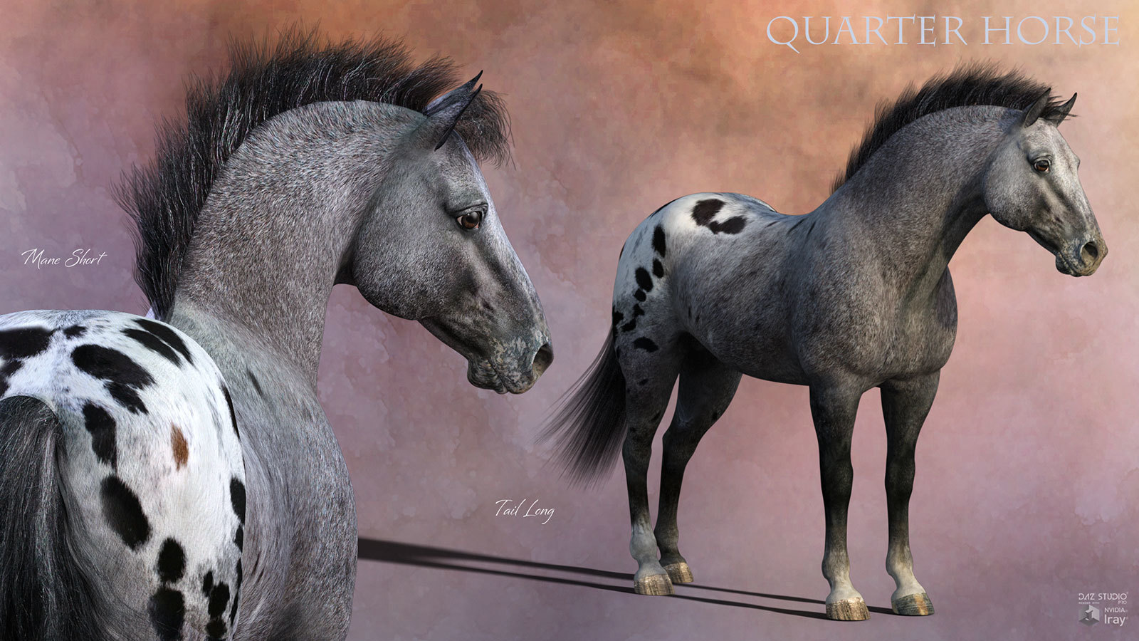 CWRW Blanket Appaloosas for the HiveWire Horse by N/A
