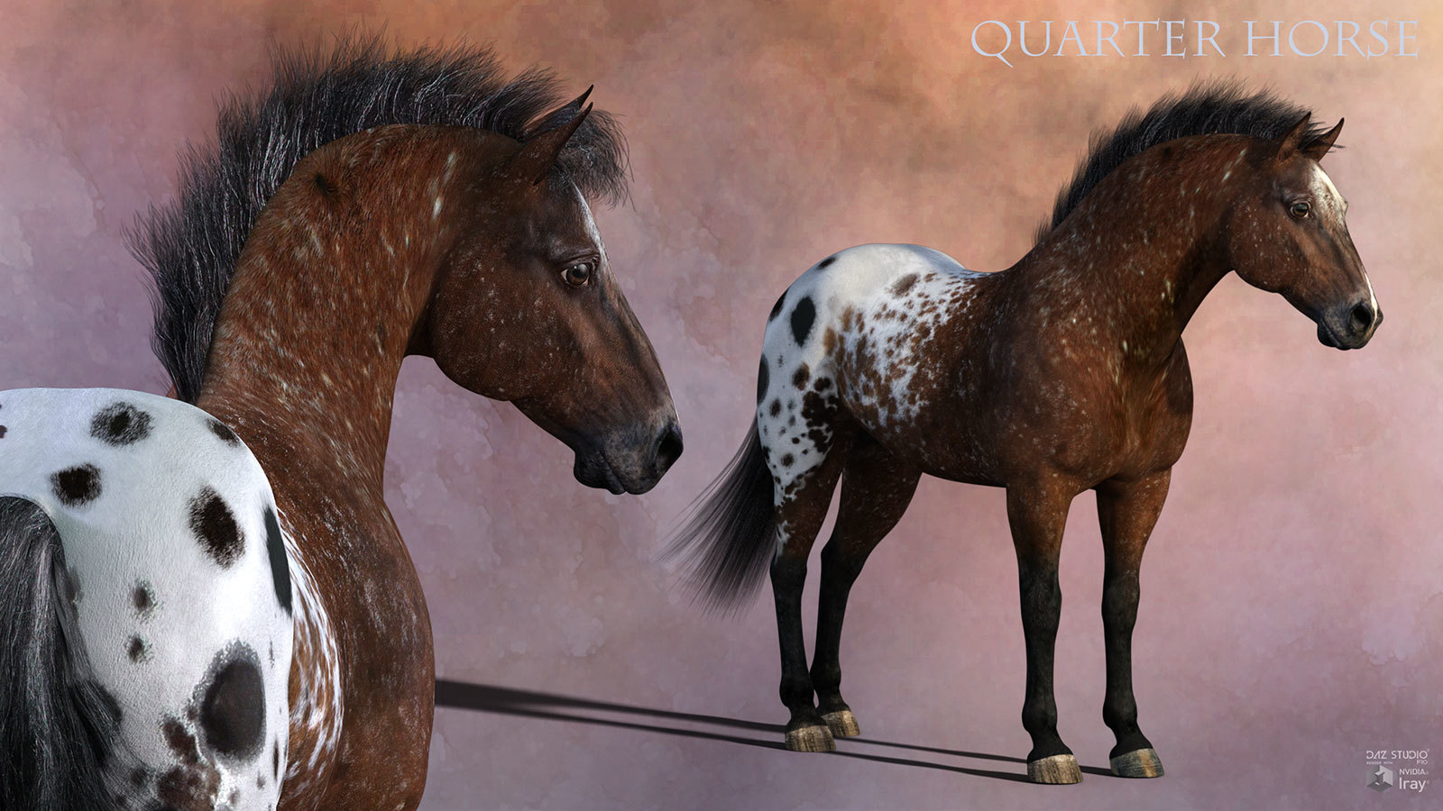 CWRW Blanket Appaloosas for the HiveWire Horse by N/A