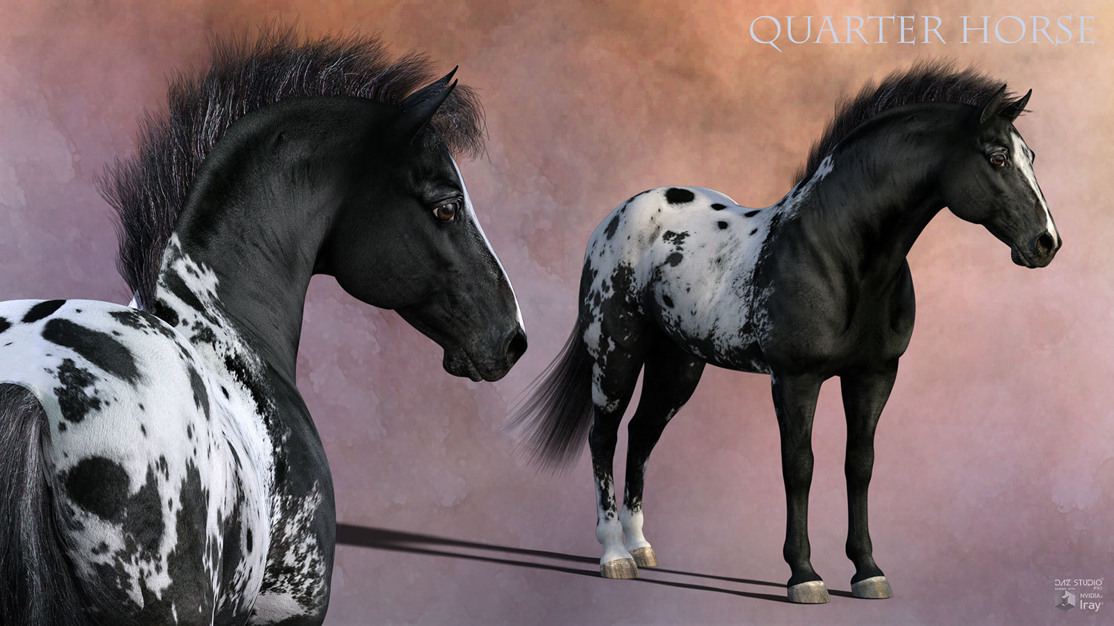 CWRW Blanket Appaloosas for the HiveWire Horse by N/A