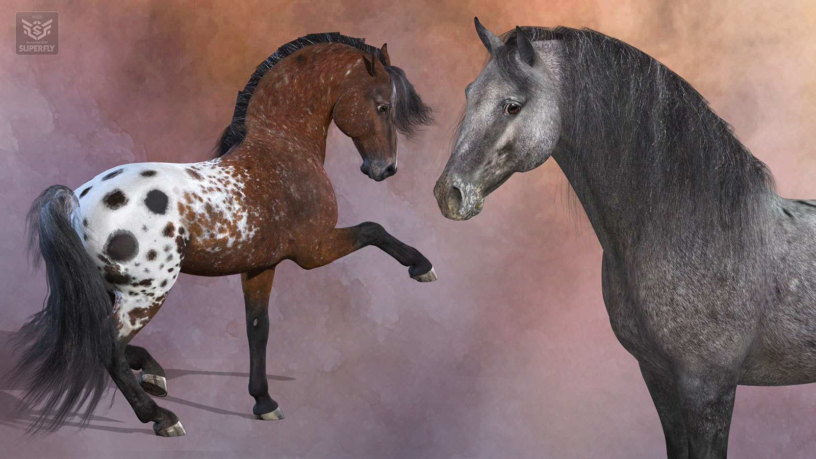 CWRW Blanket Appaloosas for the HiveWire Horse by N/A