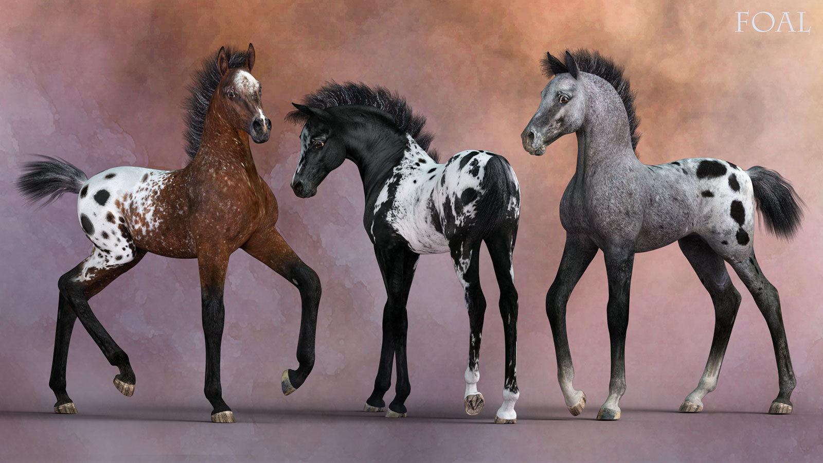 CWRW Blanket Appaloosas for the HiveWire Horse by N/A