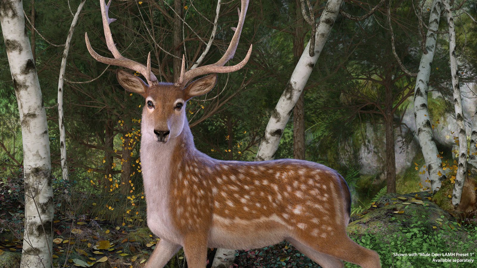 CWRW Fallow Deer by N/A