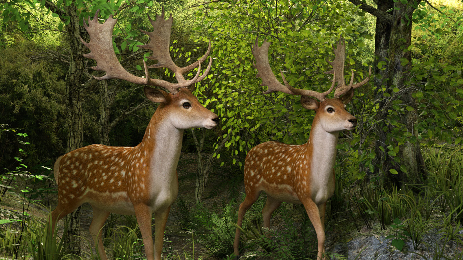 CWRW Fallow Deer by N/A
