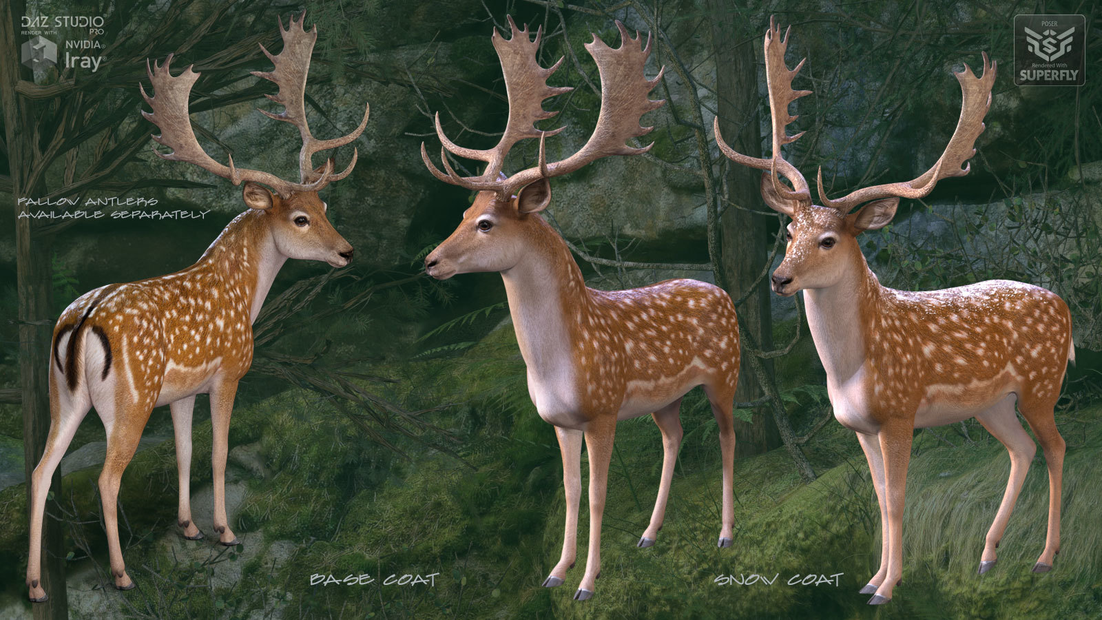 CWRW Fallow Deer by N/A