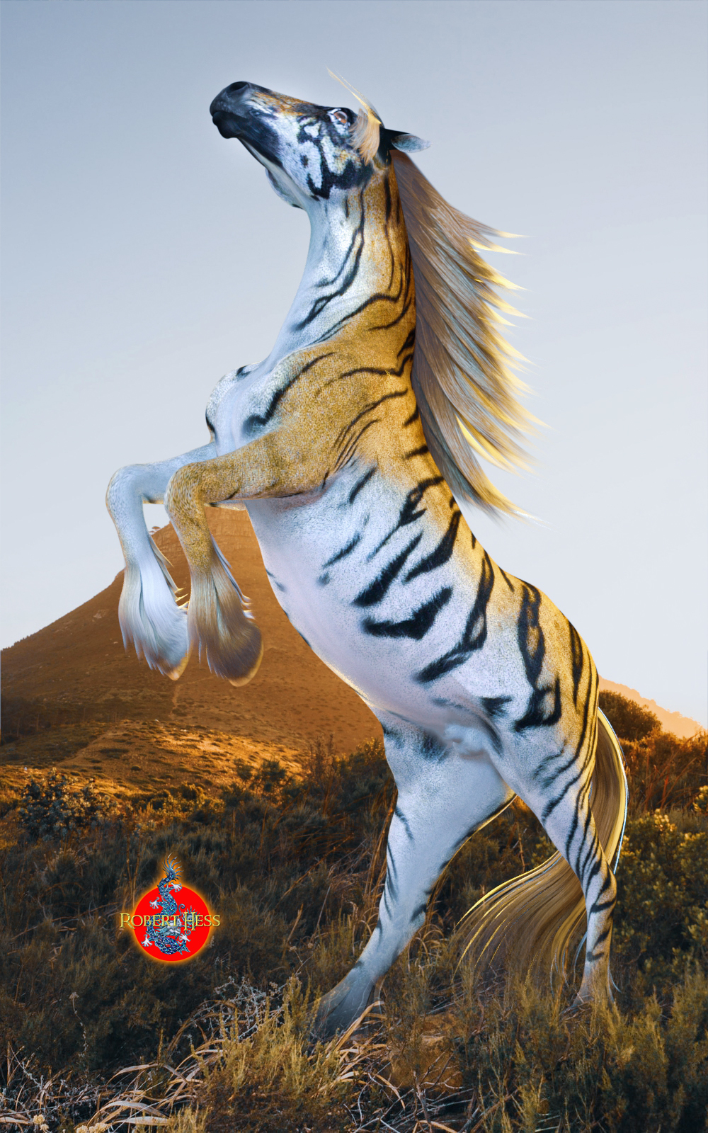 Kitty Ponies Set 1 for the HW Horse by N/A