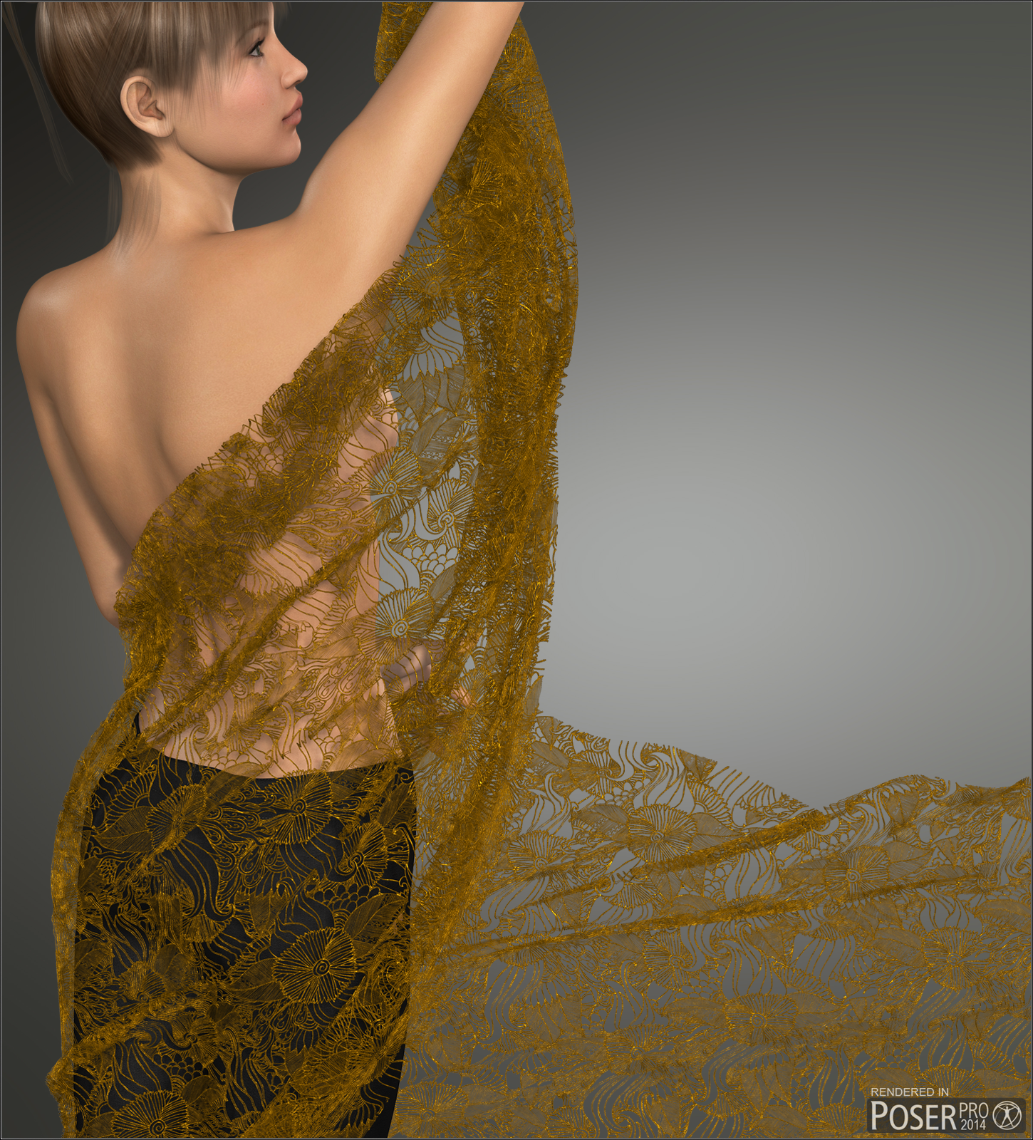 Poser - Indian Laces by N/A