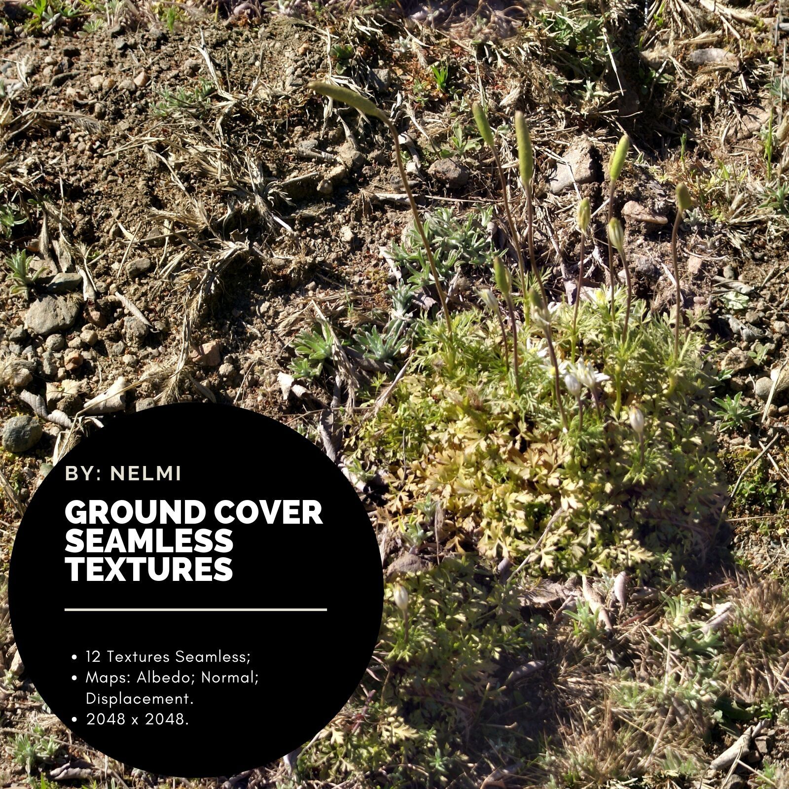 12 Ground Cover PBR Seamless Textures by N/A
