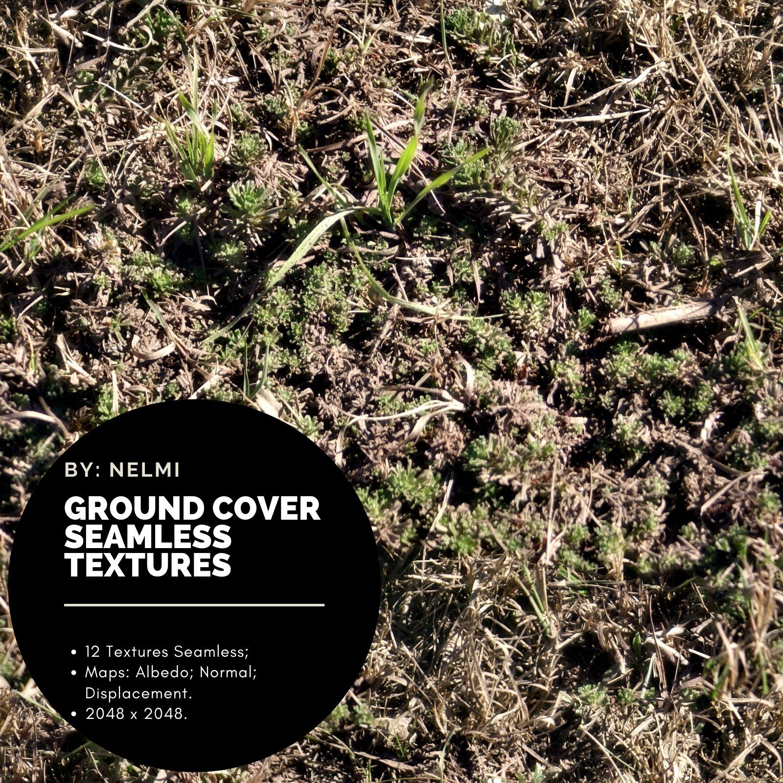 12 Ground Cover PBR Seamless Textures by N/A