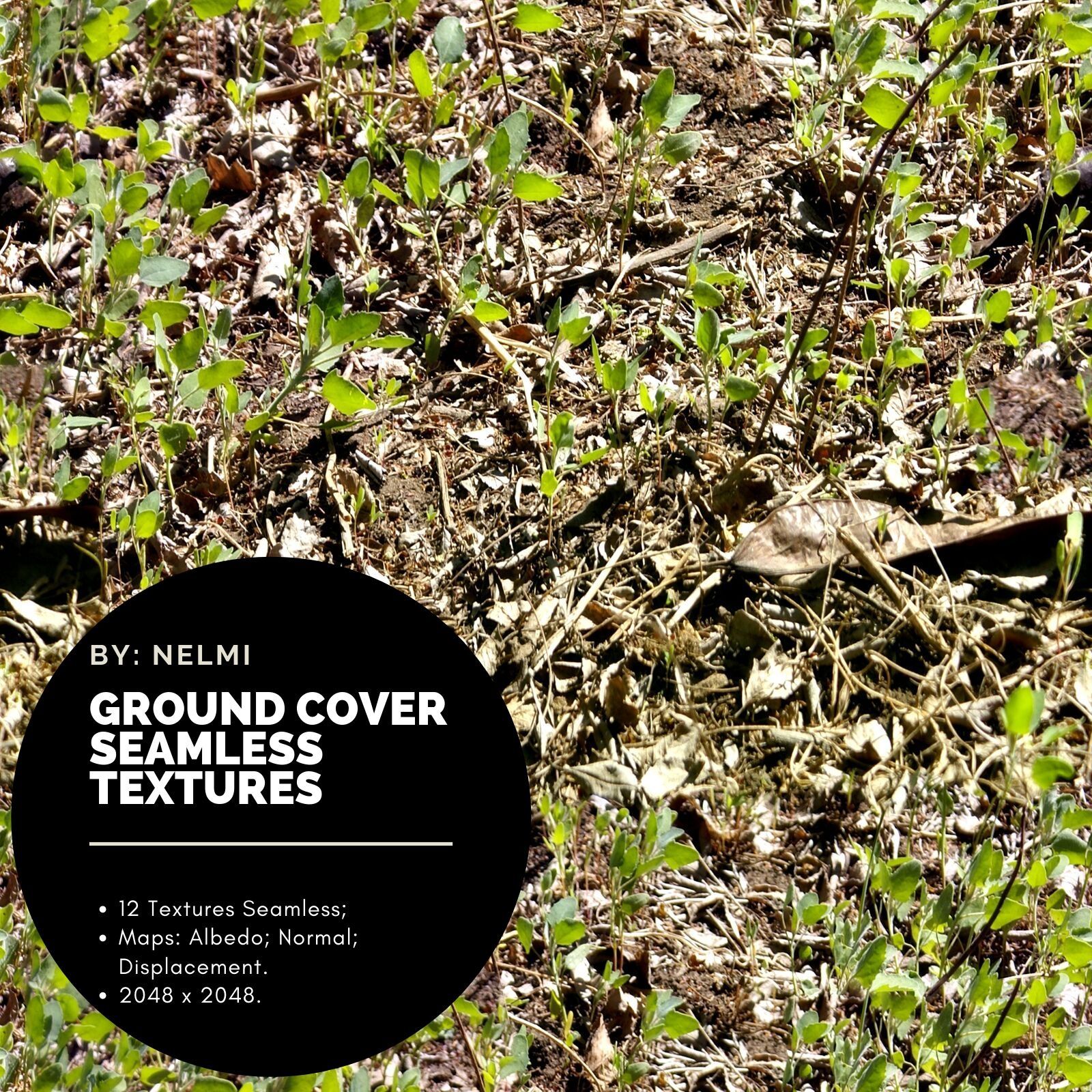 12 Ground Cover PBR Seamless Textures by N/A