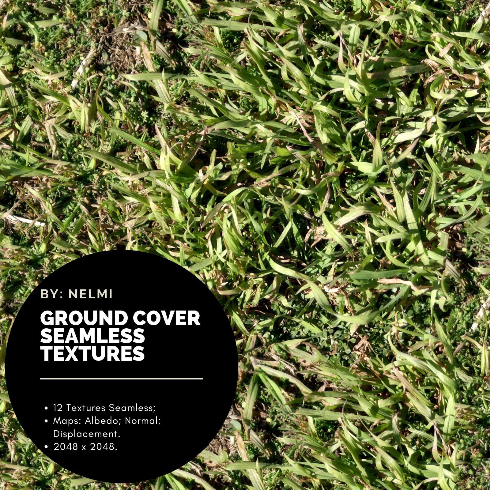12 Ground Cover PBR Seamless Textures by N/A