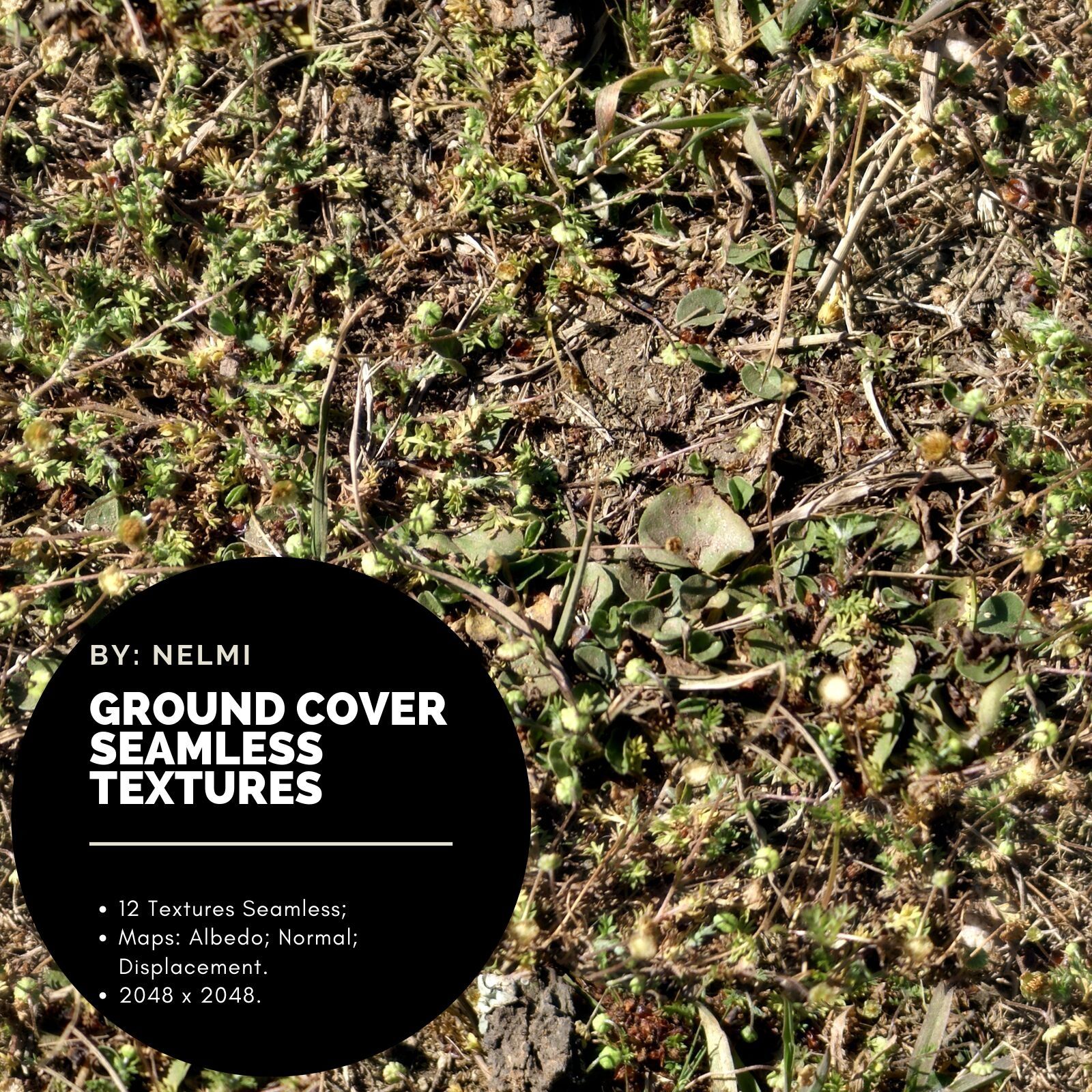 12 Ground Cover PBR Seamless Textures by N/A
