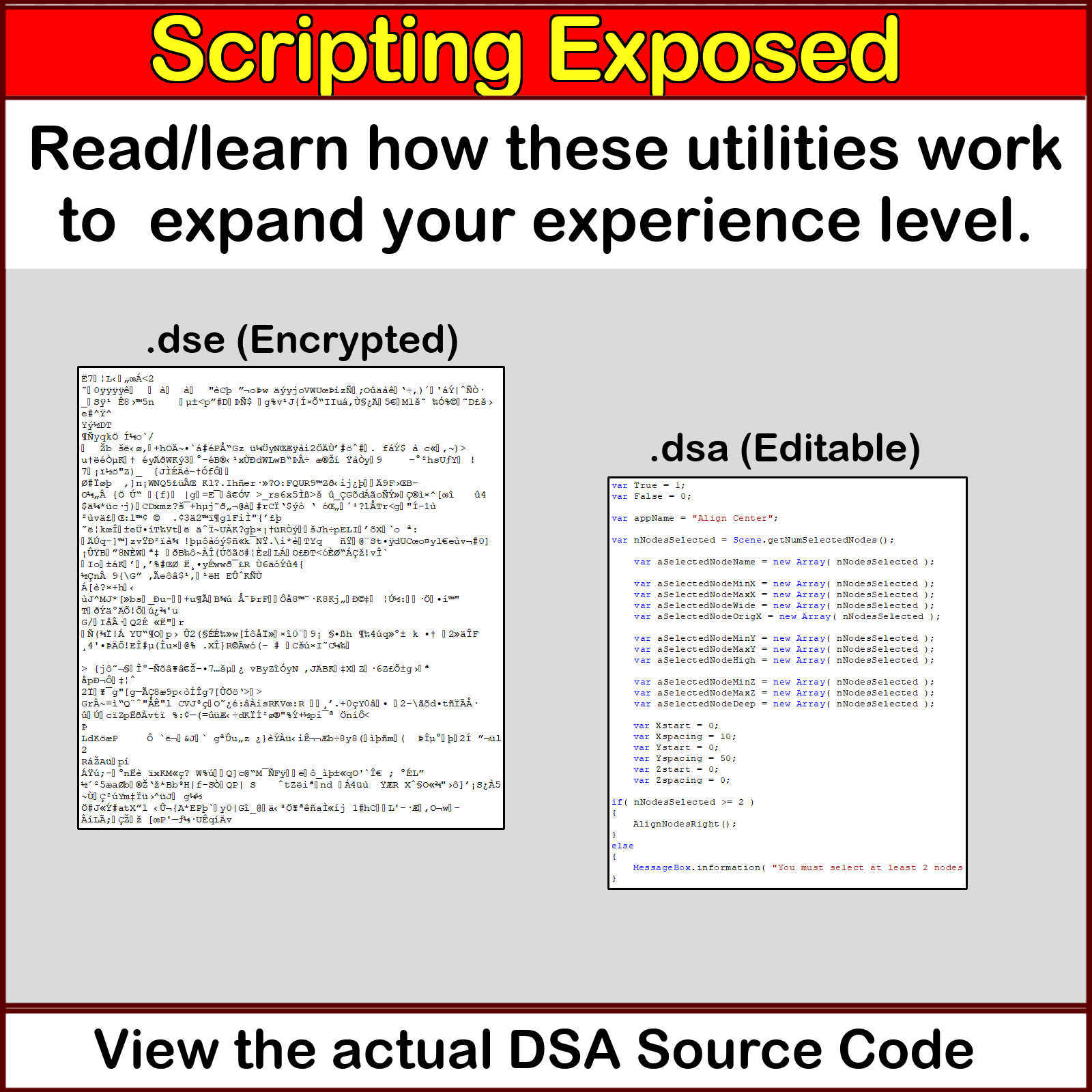 SCRIPTING EXPOSED Phrase-Maker Utilities, The Uncensored Daz Script Source Code by N/A