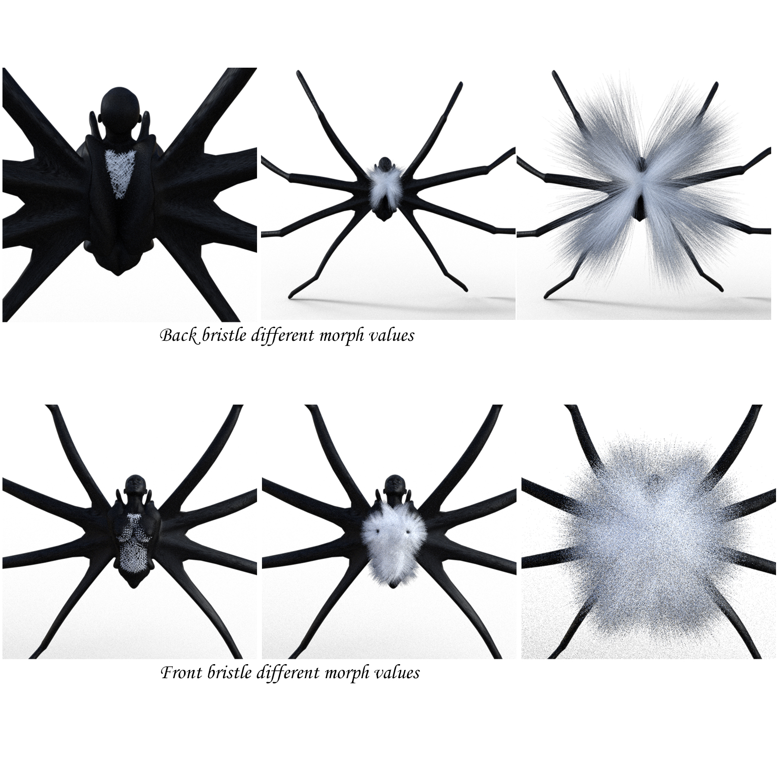 Spider Bristles Addon for G8F by N/A