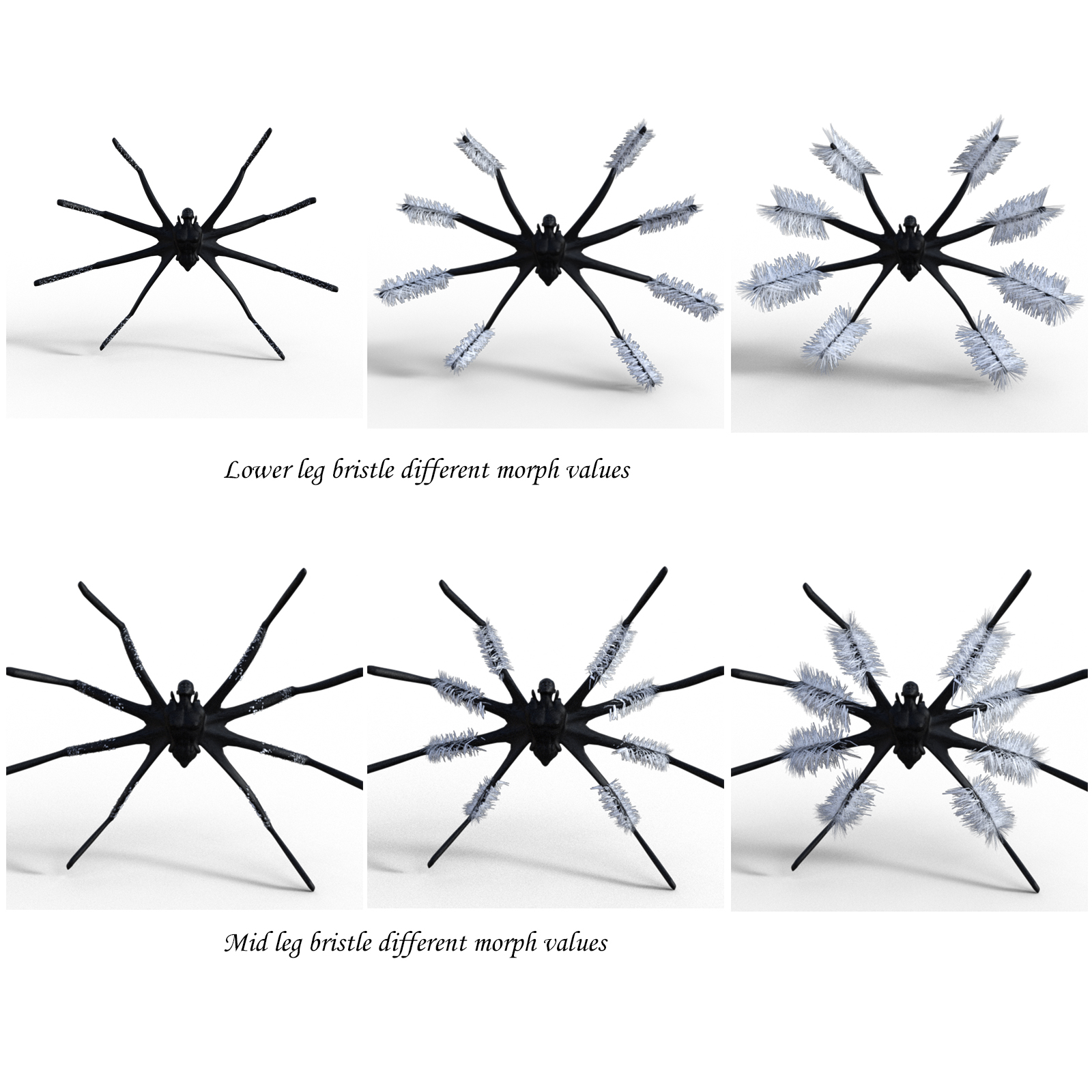 Spider Bristles Addon for G8F by N/A