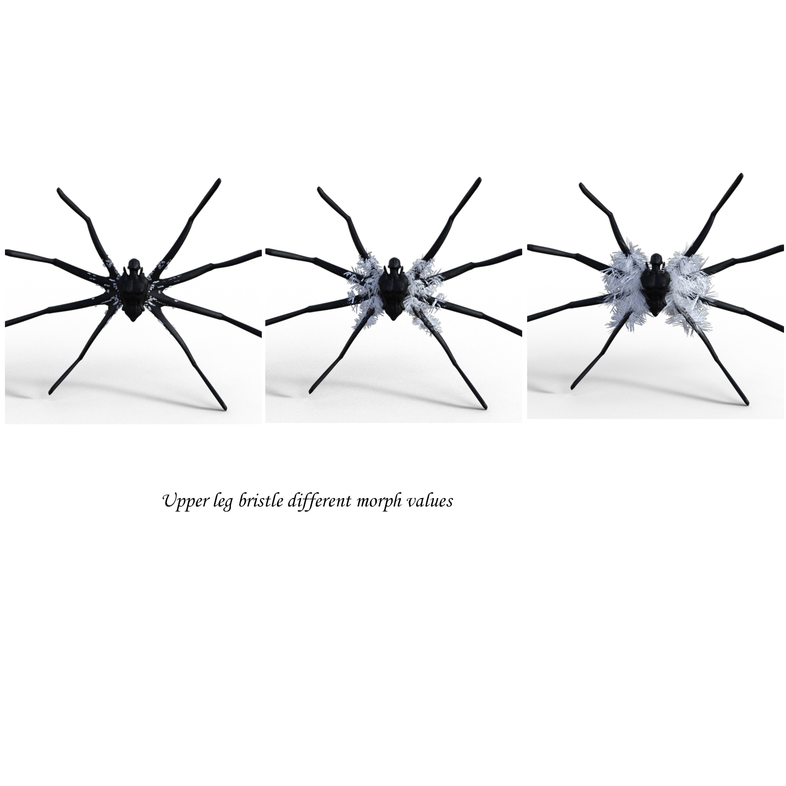 Spider Bristles Addon for G8F by N/A