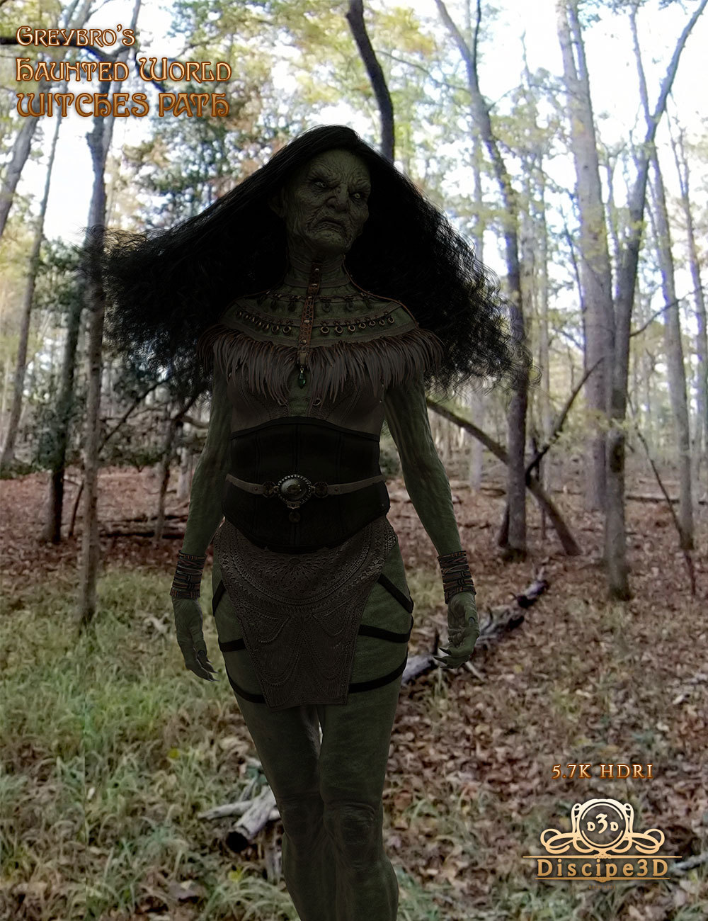 Greybro's Haunted World - Witches Path HDRI by N/A