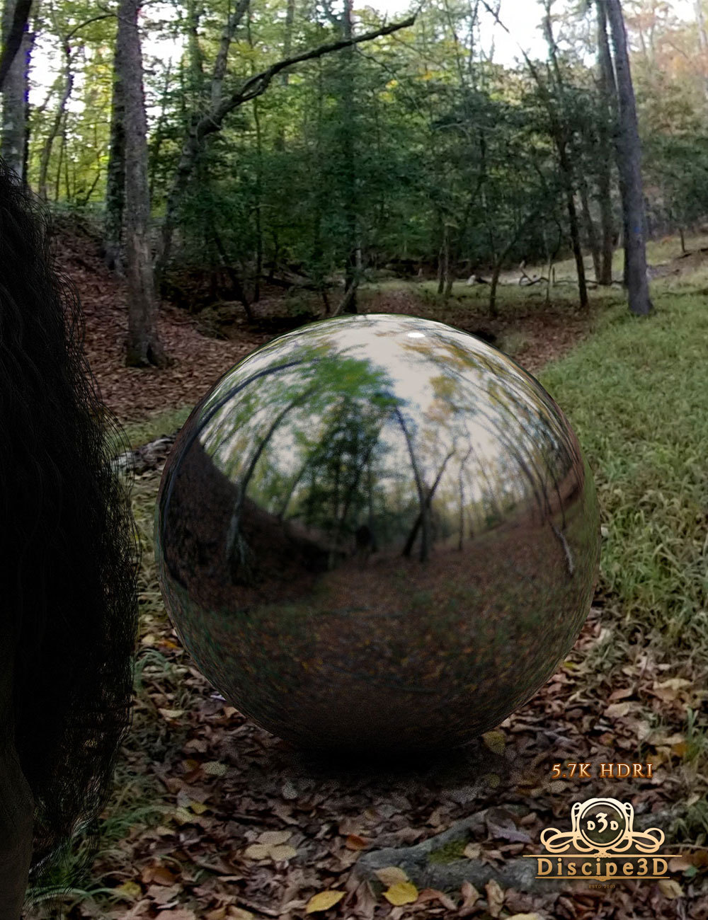 Greybro's Haunted World - Witches Path HDRI by N/A