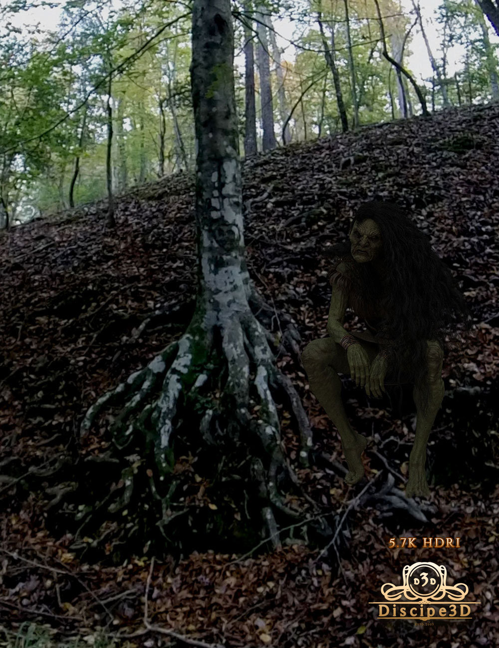 Greybro's Haunted World - Witches Path HDRI by N/A