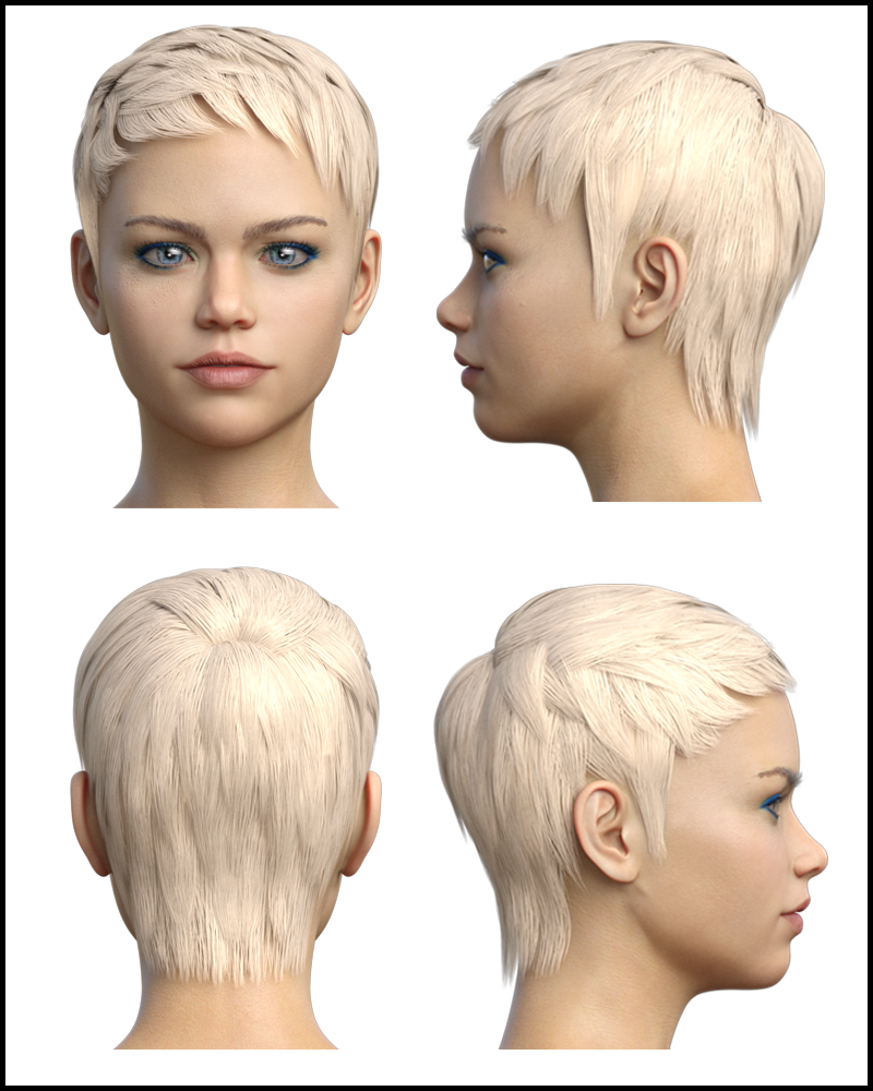 SJ Hair for Genesis 8 Female by N/A