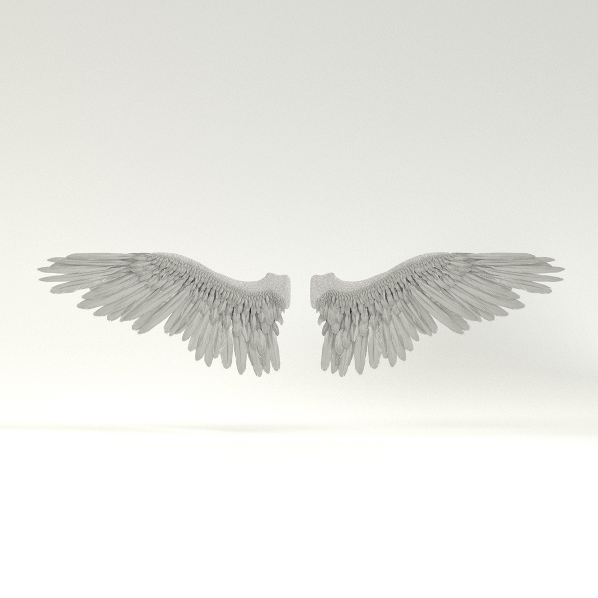 Angel or Bird Wings - Extended License by N/A