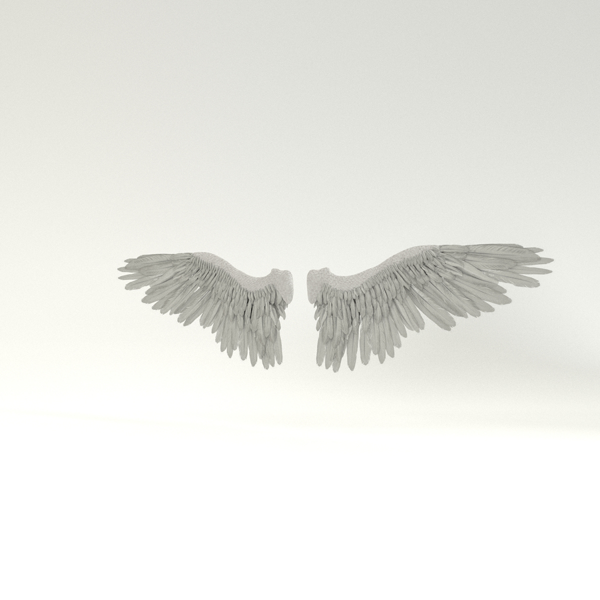 Angel or Bird Wings - Extended License by N/A