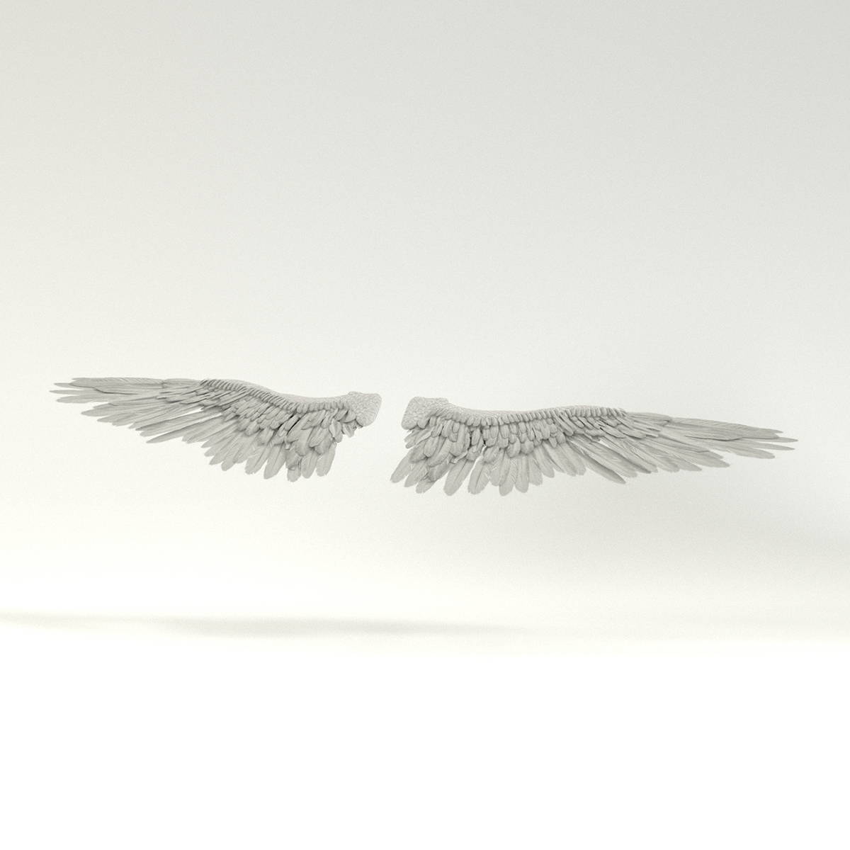 Angel or Bird Wings - Extended License by N/A