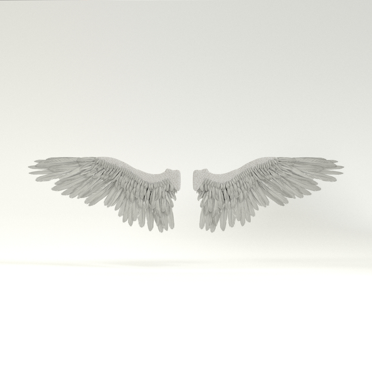 Angel or Bird Wings - Extended License by N/A