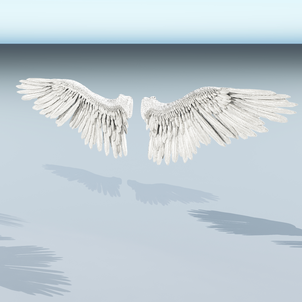 Angel or Bird Wings - Extended License by N/A