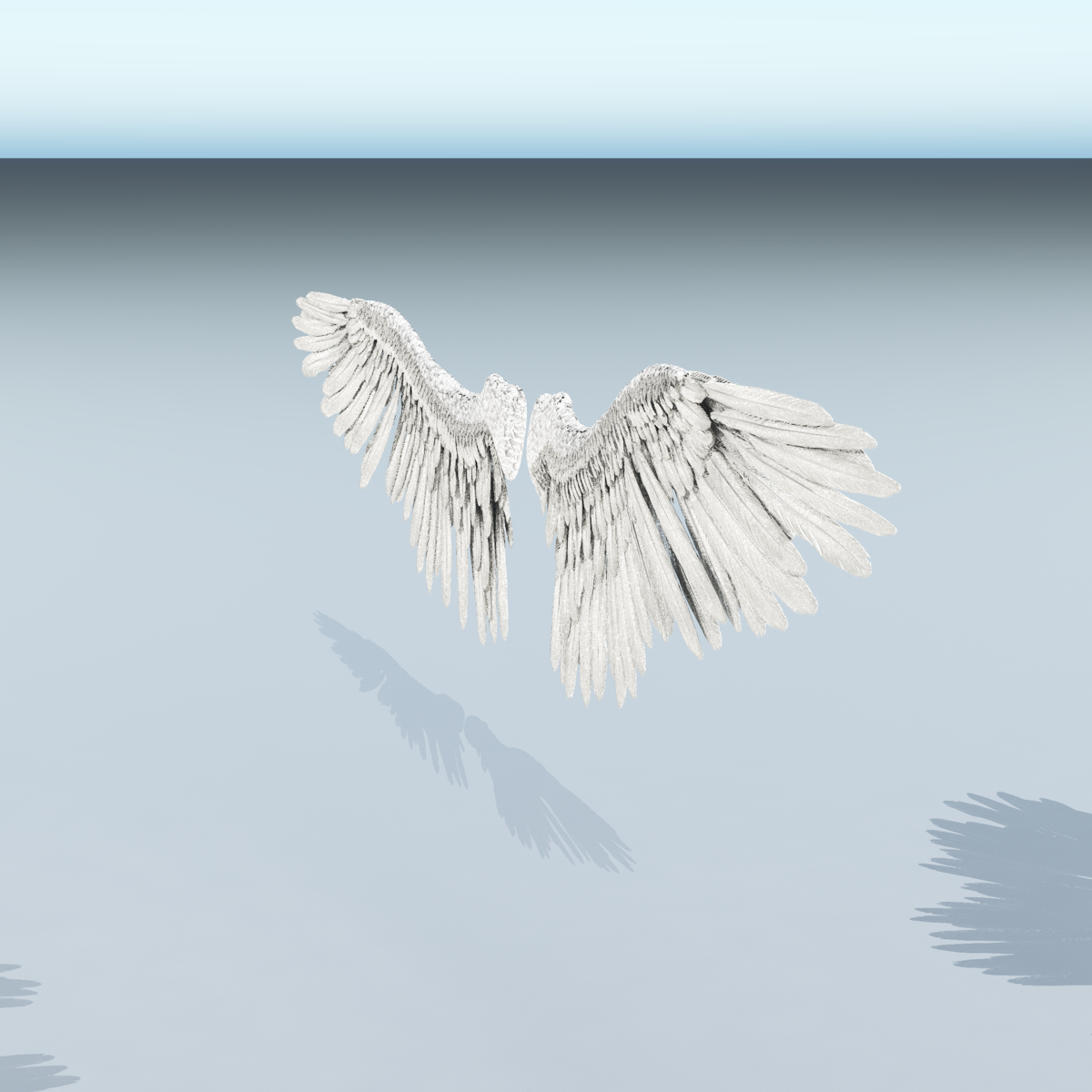 Angel or Bird Wings - Extended License by N/A