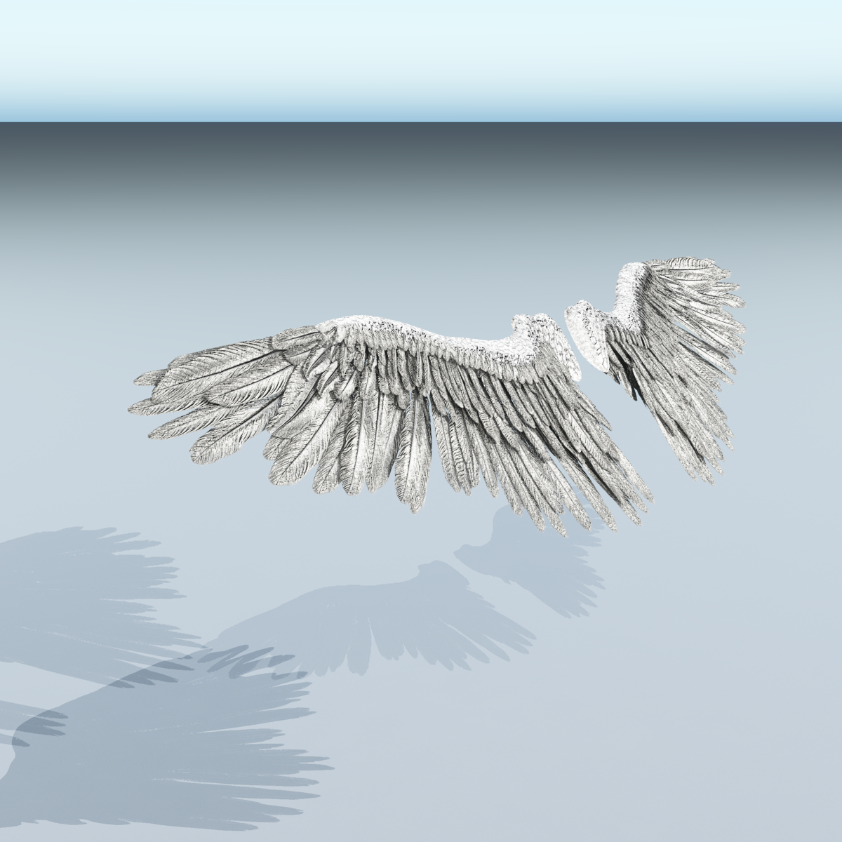 Angel or Bird Wings - Extended License by N/A