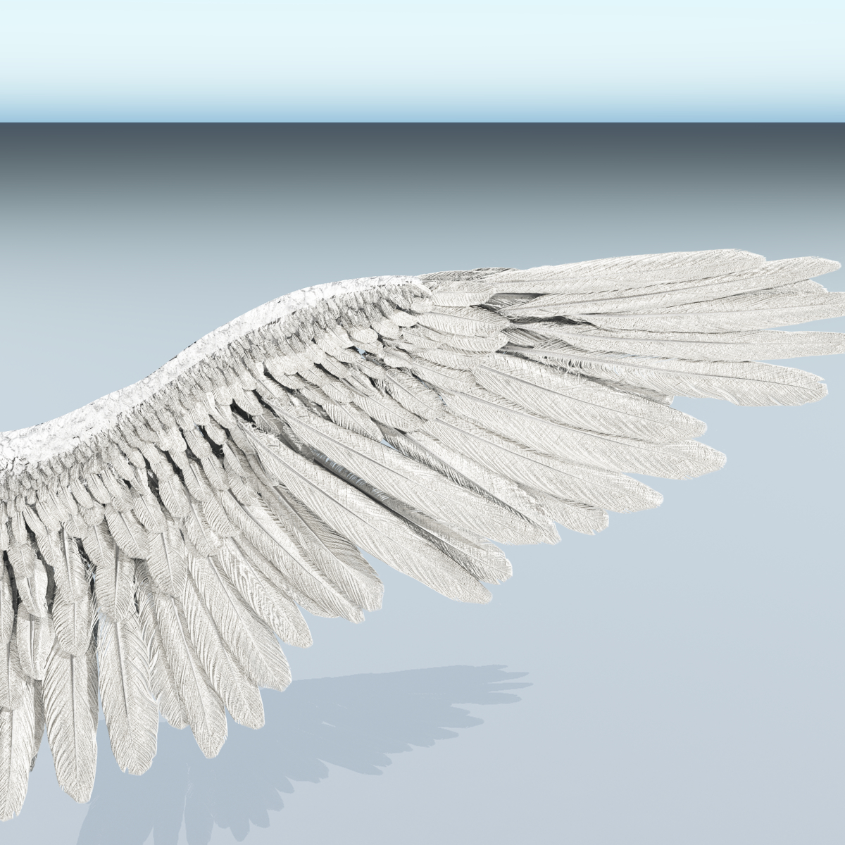 Angel or Bird Wings - Extended License by N/A