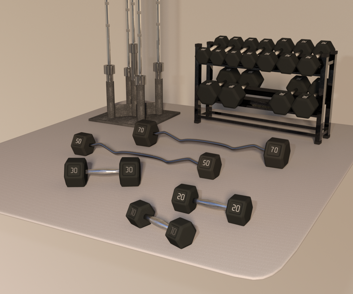 Swole: Free Weights for Genesis 3 and 8 Females by N/A
