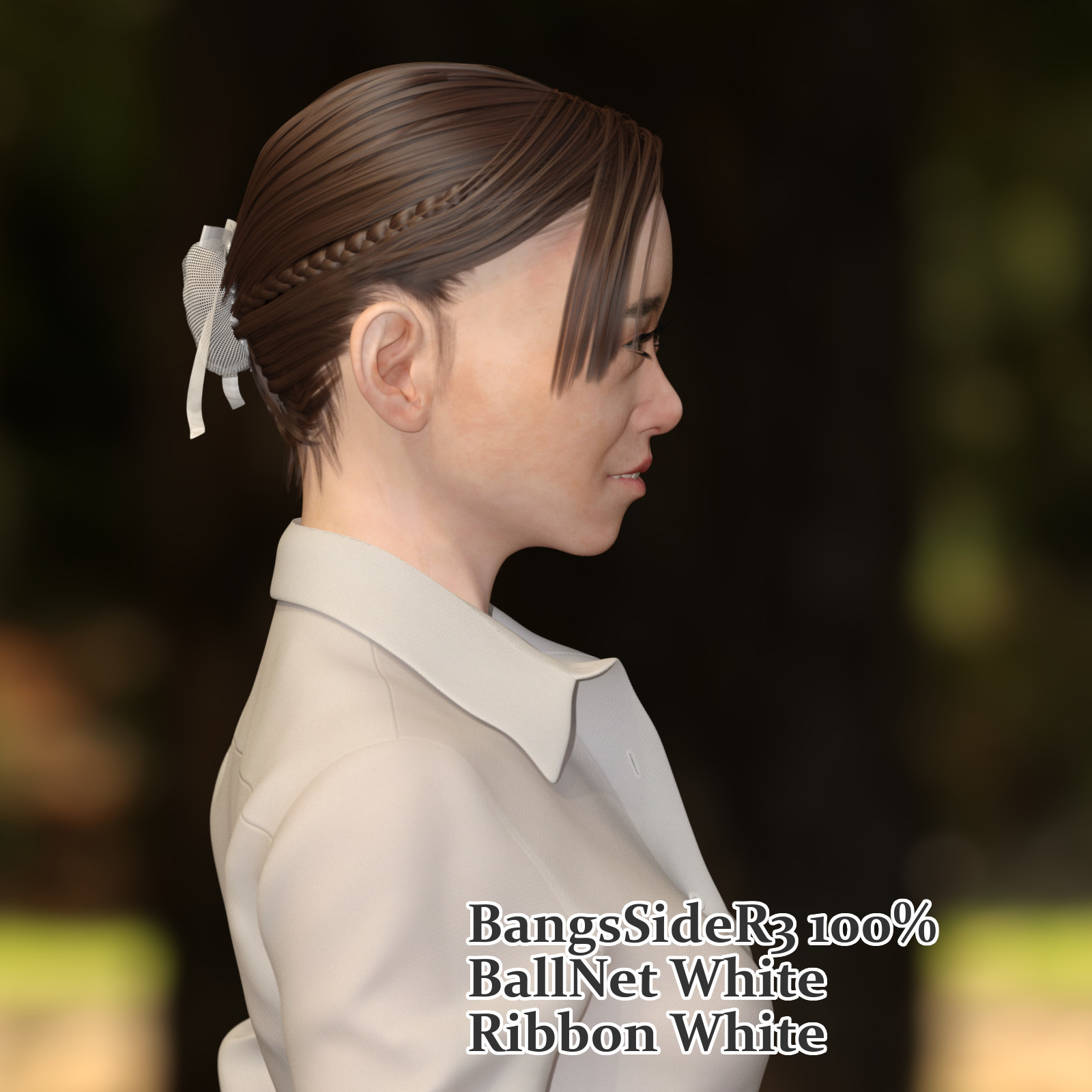 Reiko Braid Updo Hair for G3F & G8F by N/A