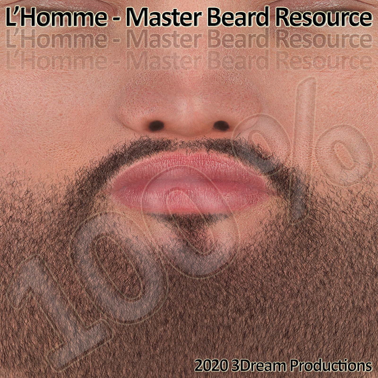 L'Homme - Master Beard Resource by N/A