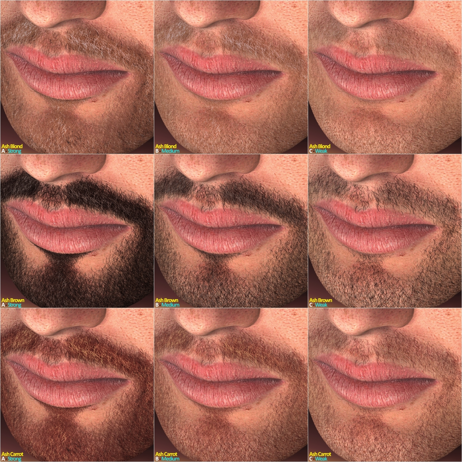 L'Homme - Master Beard Resource by N/A