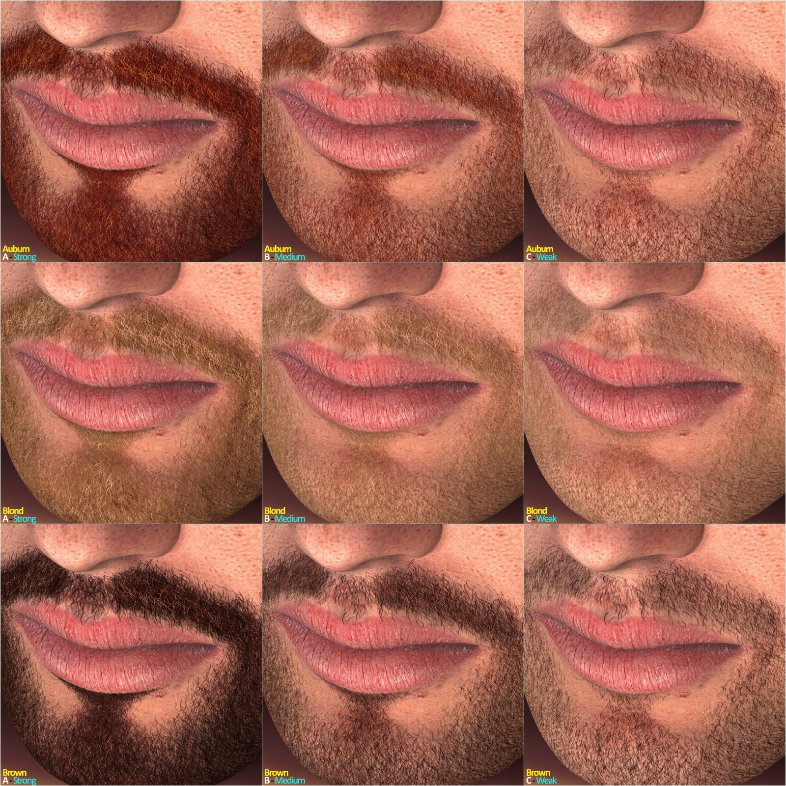 L'Homme - Master Beard Resource by N/A