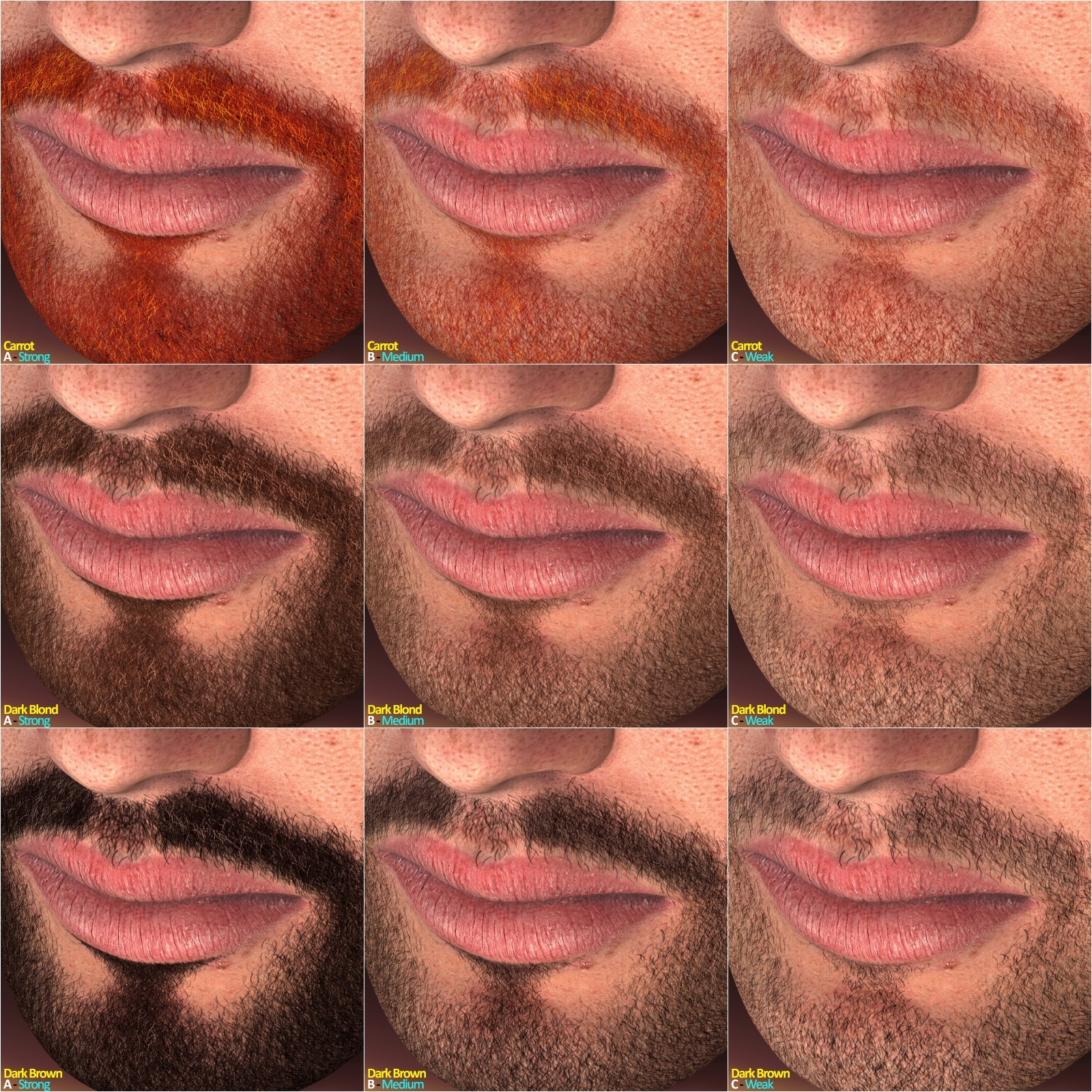 L'Homme - Master Beard Resource by N/A