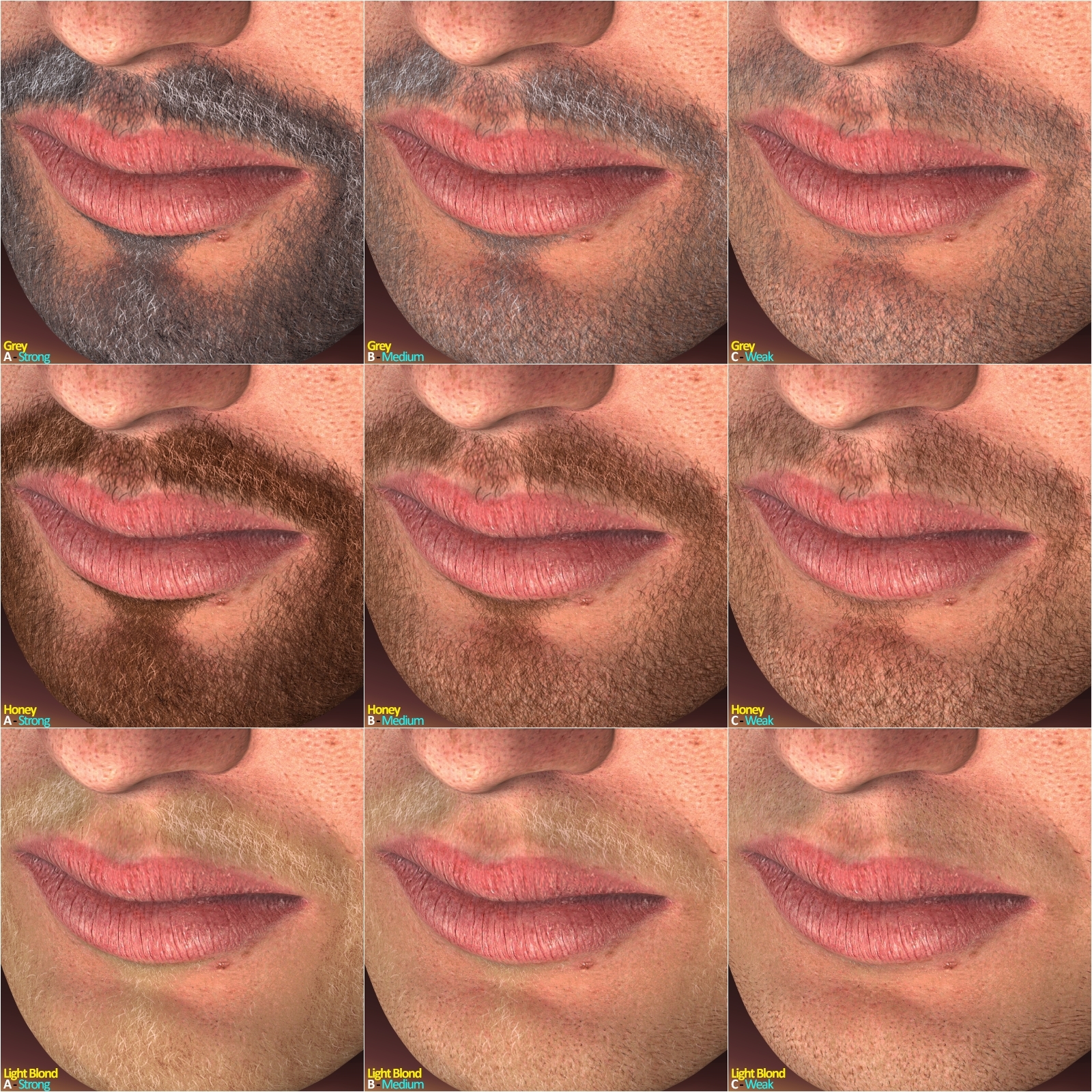 L'Homme - Master Beard Resource by N/A
