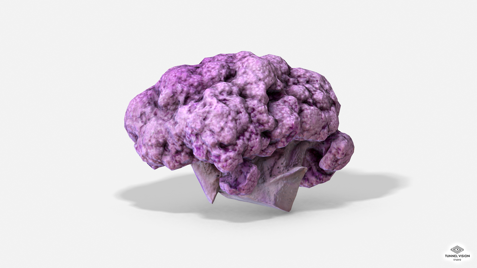 Vegetable Purple Cauliflower - Photoscanned PBR - Extended License by N/A