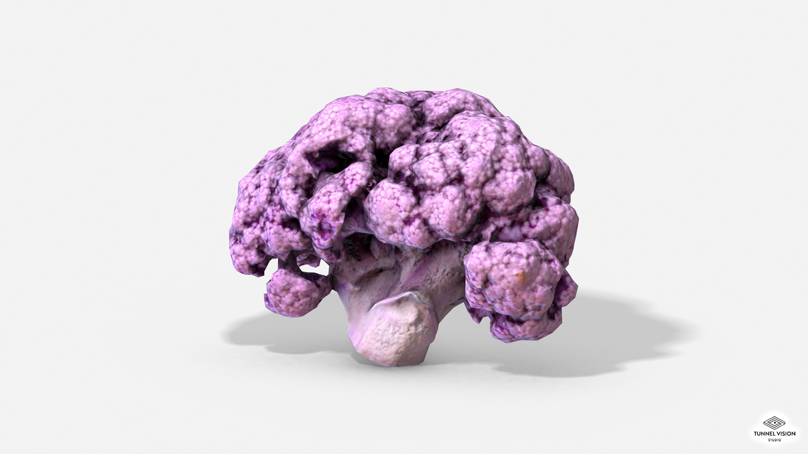 Vegetable Purple Cauliflower - Photoscanned PBR - Extended License by N/A