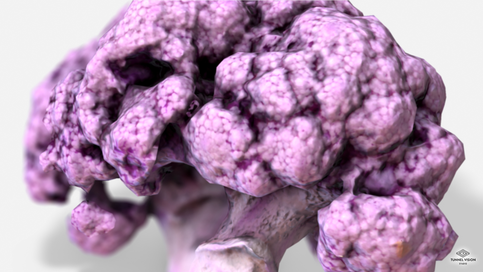 Vegetable Purple Cauliflower - Photoscanned PBR - Extended License by N/A