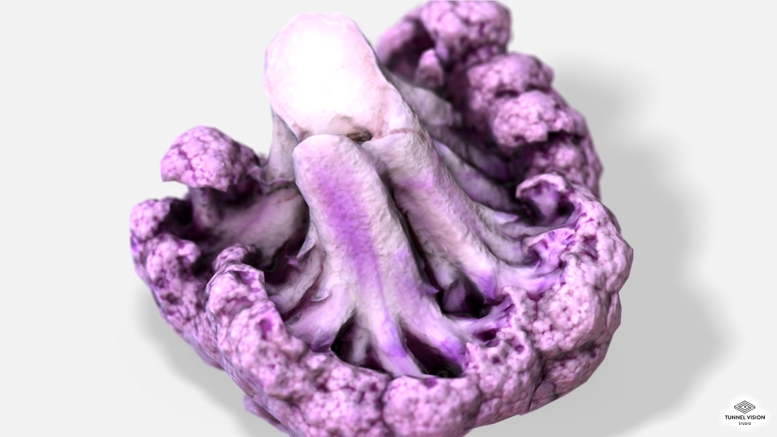 Vegetable Purple Cauliflower - Photoscanned PBR - Extended License by N/A
